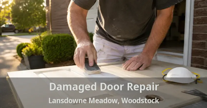 Damaged Door Repair Lansdowne Meadow, Woodstock - ON