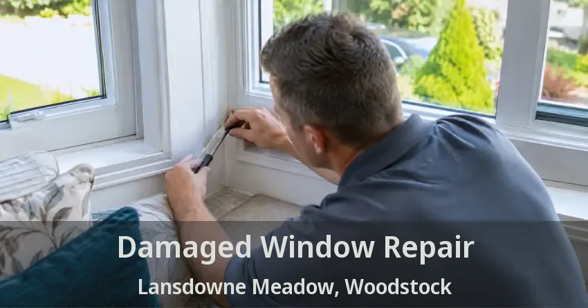Damaged Window Repair Lansdowne Meadow, Woodstock - ON