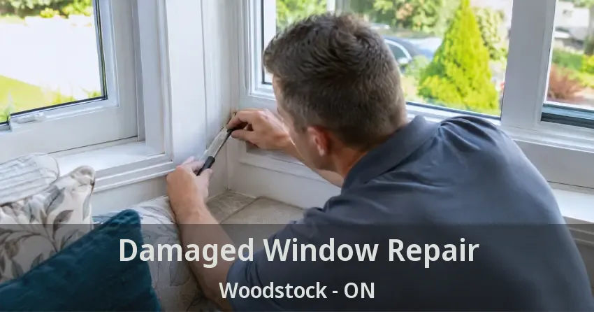 Damaged Window Repair Woodstock - ON