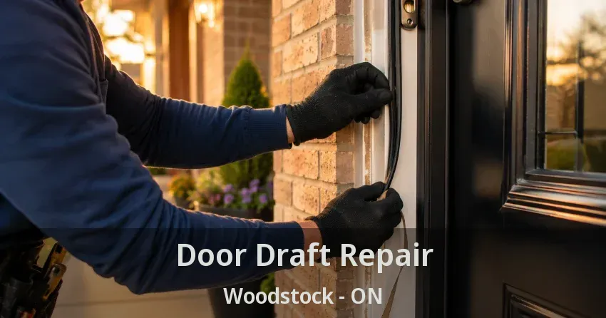 Door Draft Repair Woodstock - ON