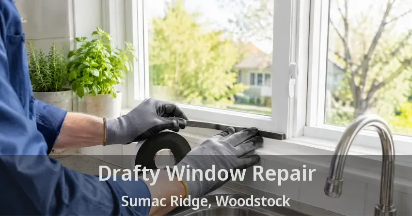 Drafty Window Repair Sumac Ridge, Woodstock - ON