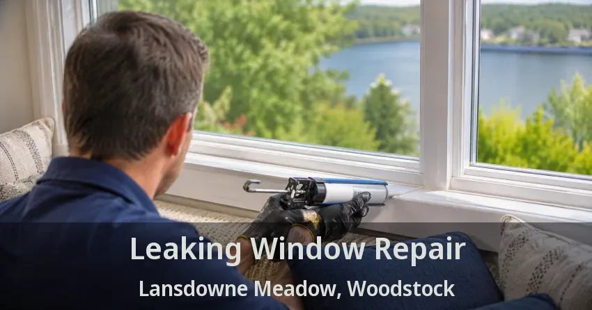 Leaking Window Repair Lansdowne Meadow, Woodstock - ON