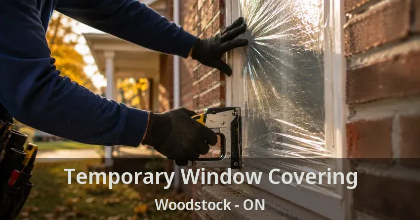 Temporary Window Covering Woodstock - ON