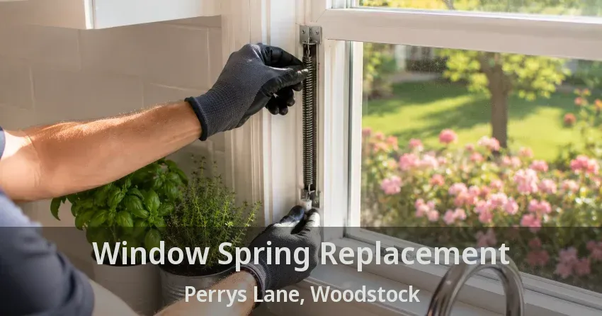 Window Spring Replacement Perrys Lane, Woodstock - ON